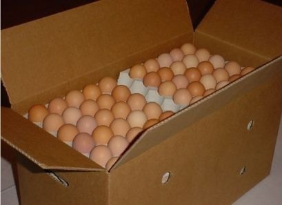 🥚 Large (60g) – 360 eggs a box = R280