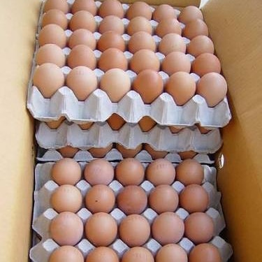 🥚 X Large (65g) – 360 eggs a box = R310
